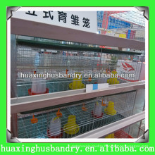 Day Old Chick Cage with Automatic Equipment